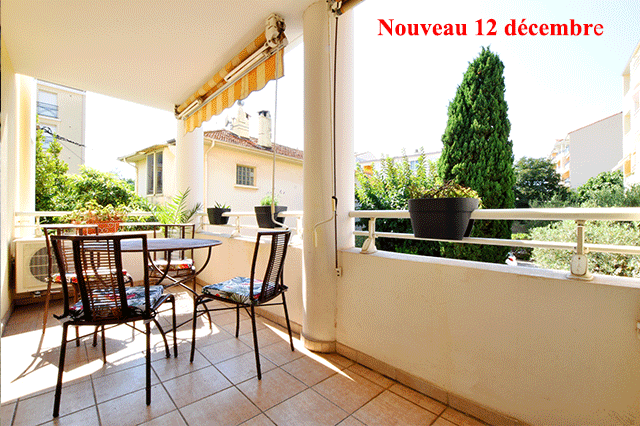 l'alcyon saint Raphael